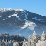 Apartament Deml Flachau