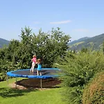 Apartament Deml Flachau