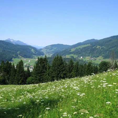 Апартаменты Deml *