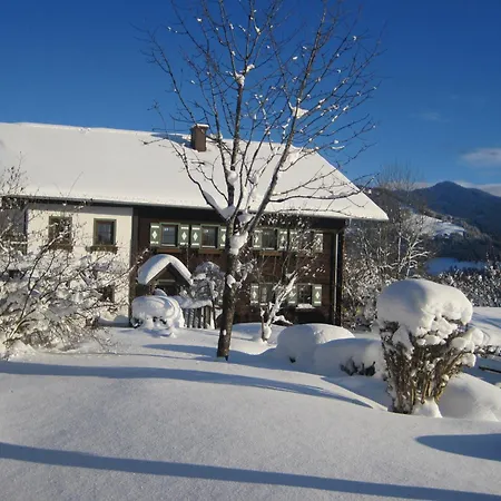 Deml Flachau