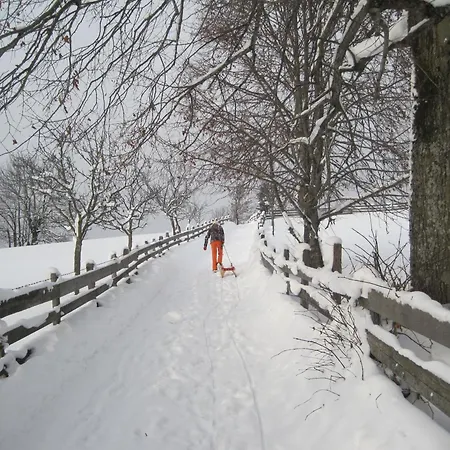 Апартаменты Deml *