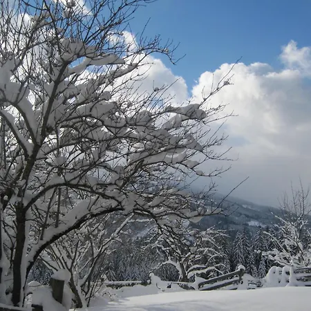 Апартаменты Deml