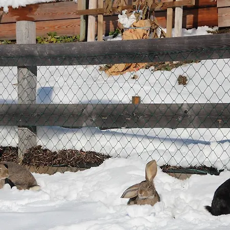 Deml Апартаменты Флахау