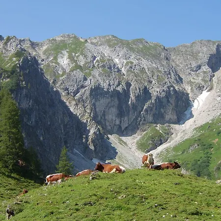 Апартаменты Deml Флахау