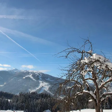 Апартаменты Deml Флахау