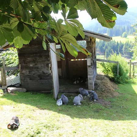 Appartamento Deml Flachau