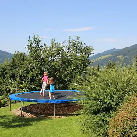 Appartamento Deml Flachau