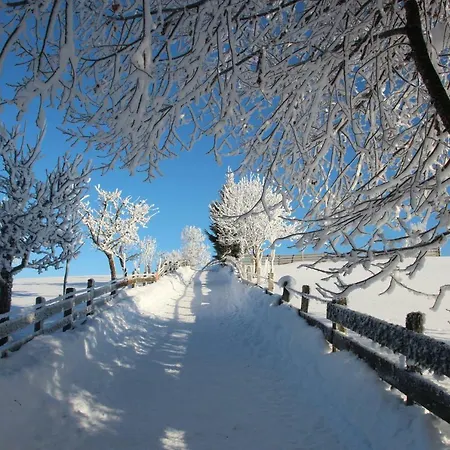 Deml Appartamento Flachau