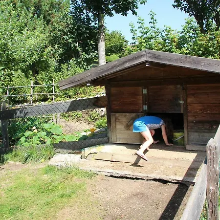 Deml Апартаменты *