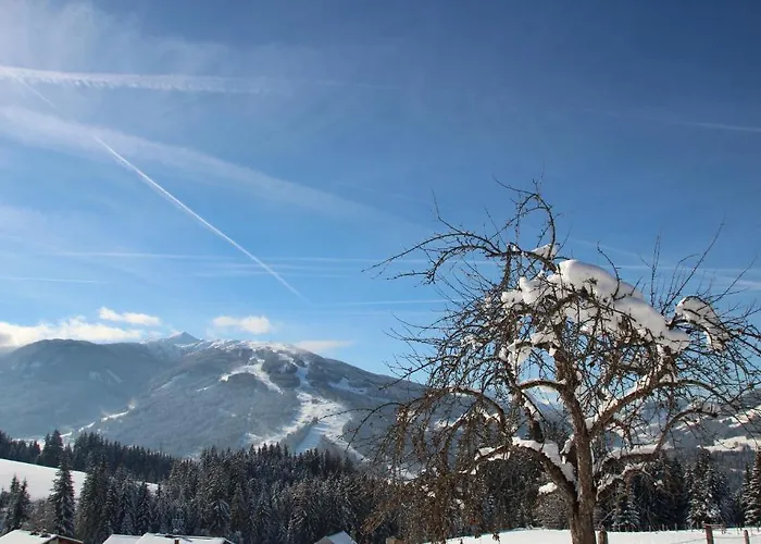 Apartamento Deml Flachau